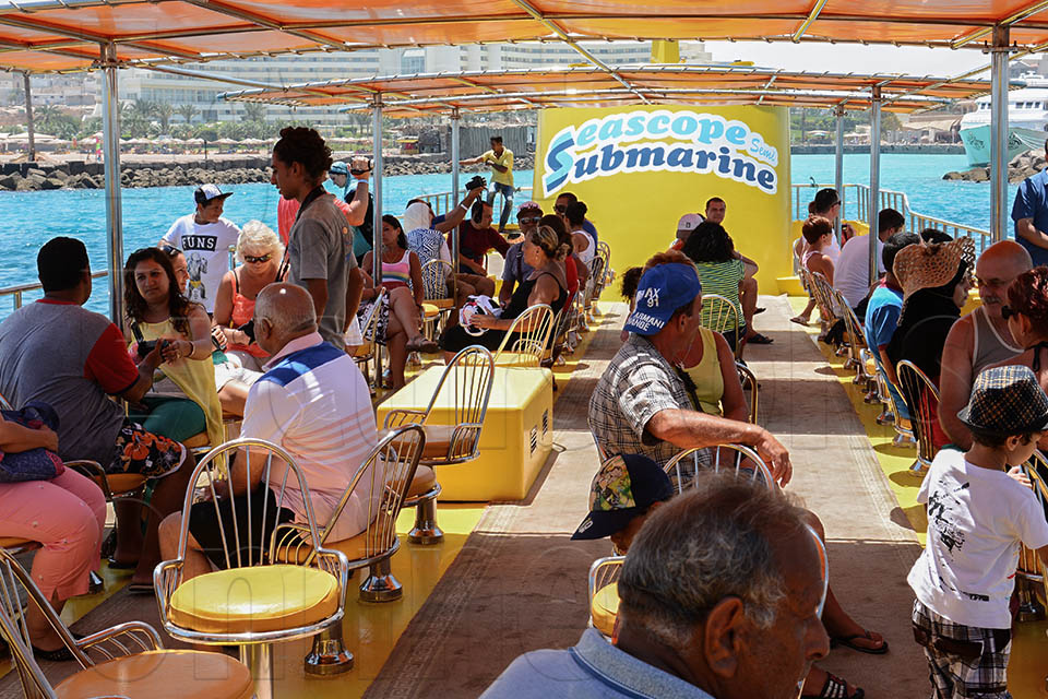 Pink Crescent Moon Events